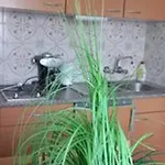 Anna Apartament