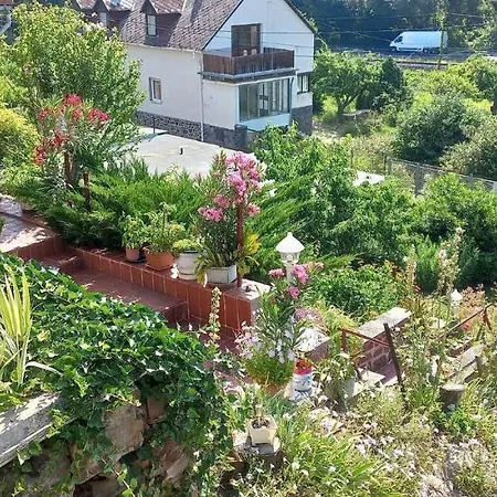 Anna * 包道乔尼托毛伊