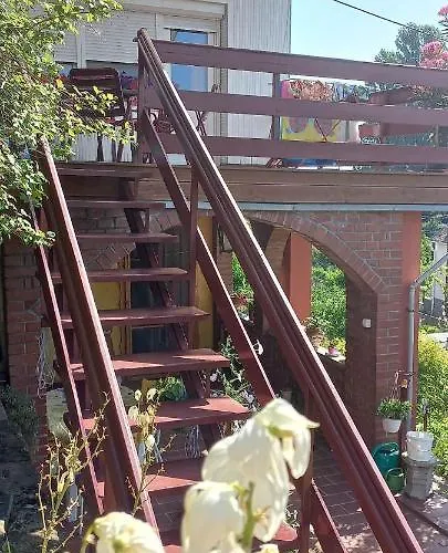 Anna 包道乔尼托毛伊