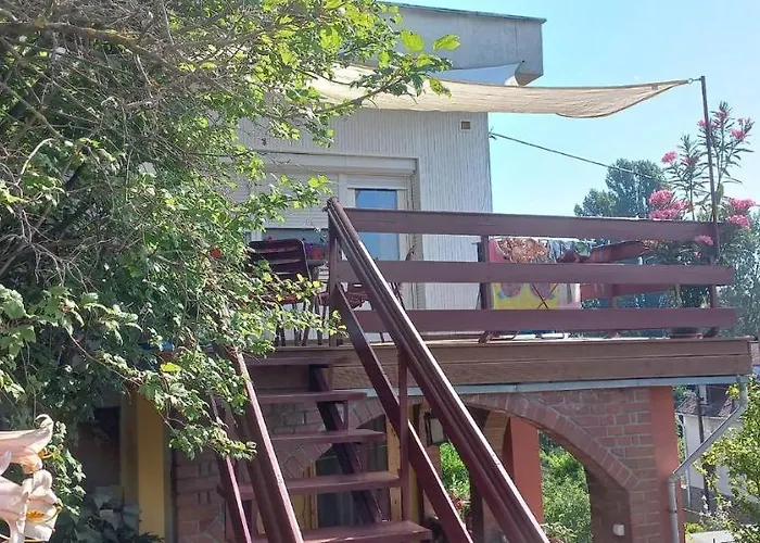 Anna 包道乔尼托毛伊