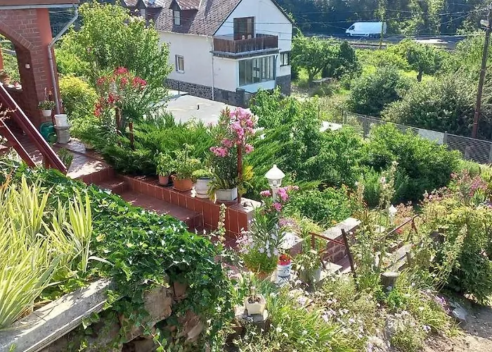 Anna * 包道乔尼托毛伊