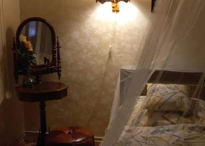 Anna 包道乔尼托毛伊