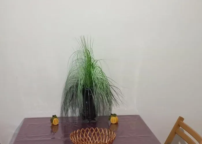 Anna * 包道乔尼托毛伊