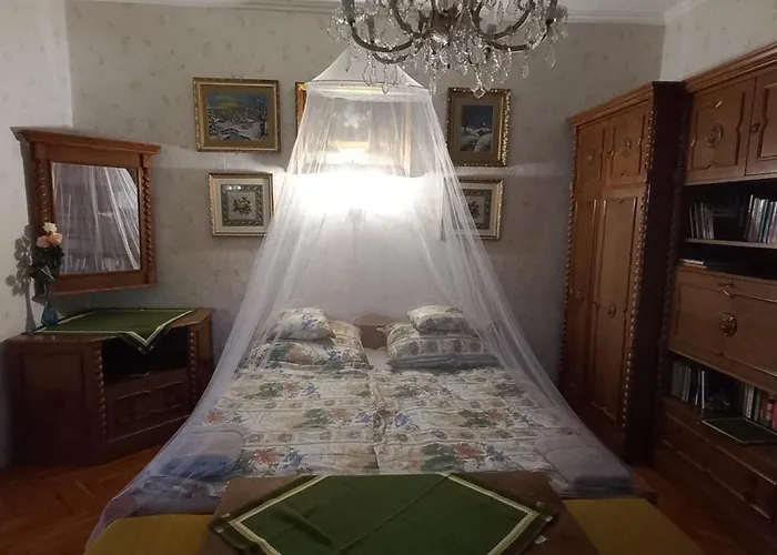 Anna 包道乔尼托毛伊